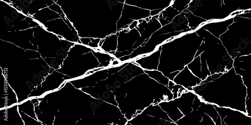 A stark, high-contrast image featuring intricate white veins sprawling across a deep, inky black background, mimicking the natural patterns found in marble or fractured glass.