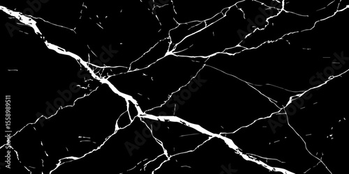 A stark, high-contrast image featuring intricate white veins sprawling across a deep, inky black background, mimicking the natural patterns found in marble or fractured glass.