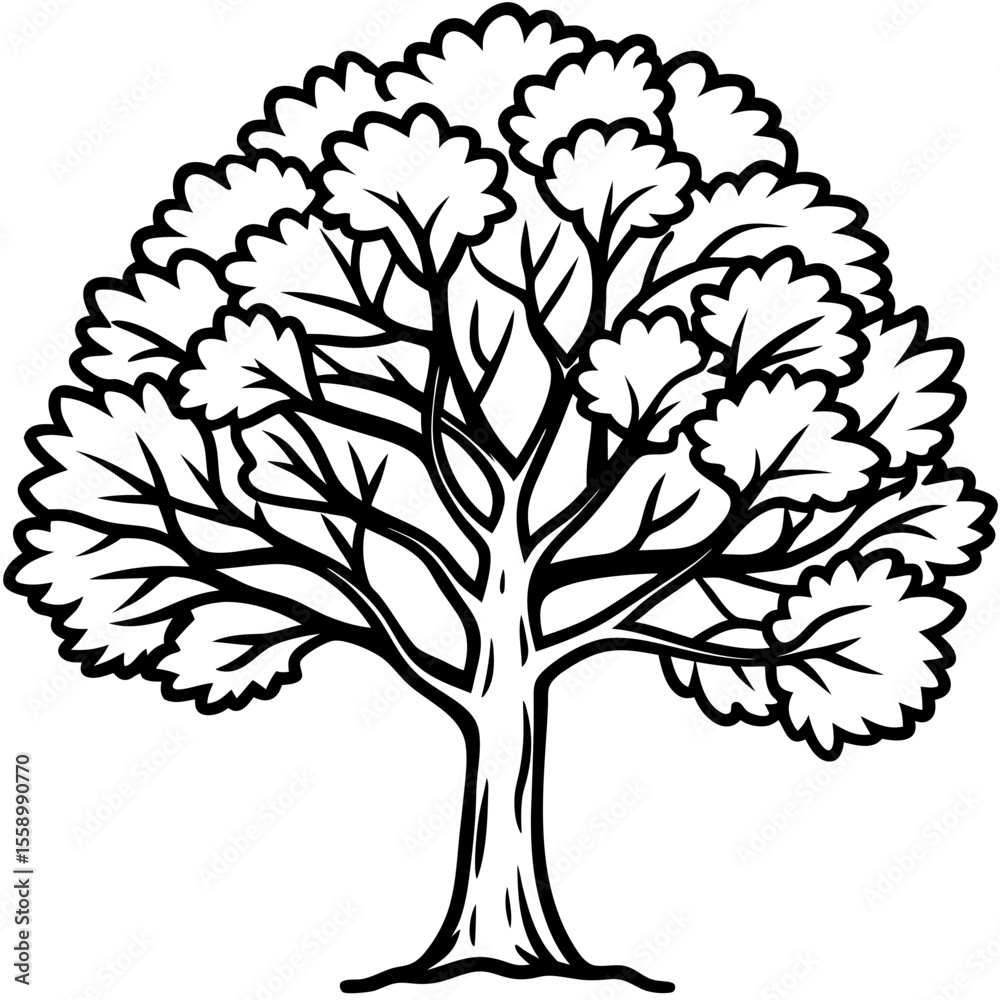 Obraz premium Camphor Tree line art vector