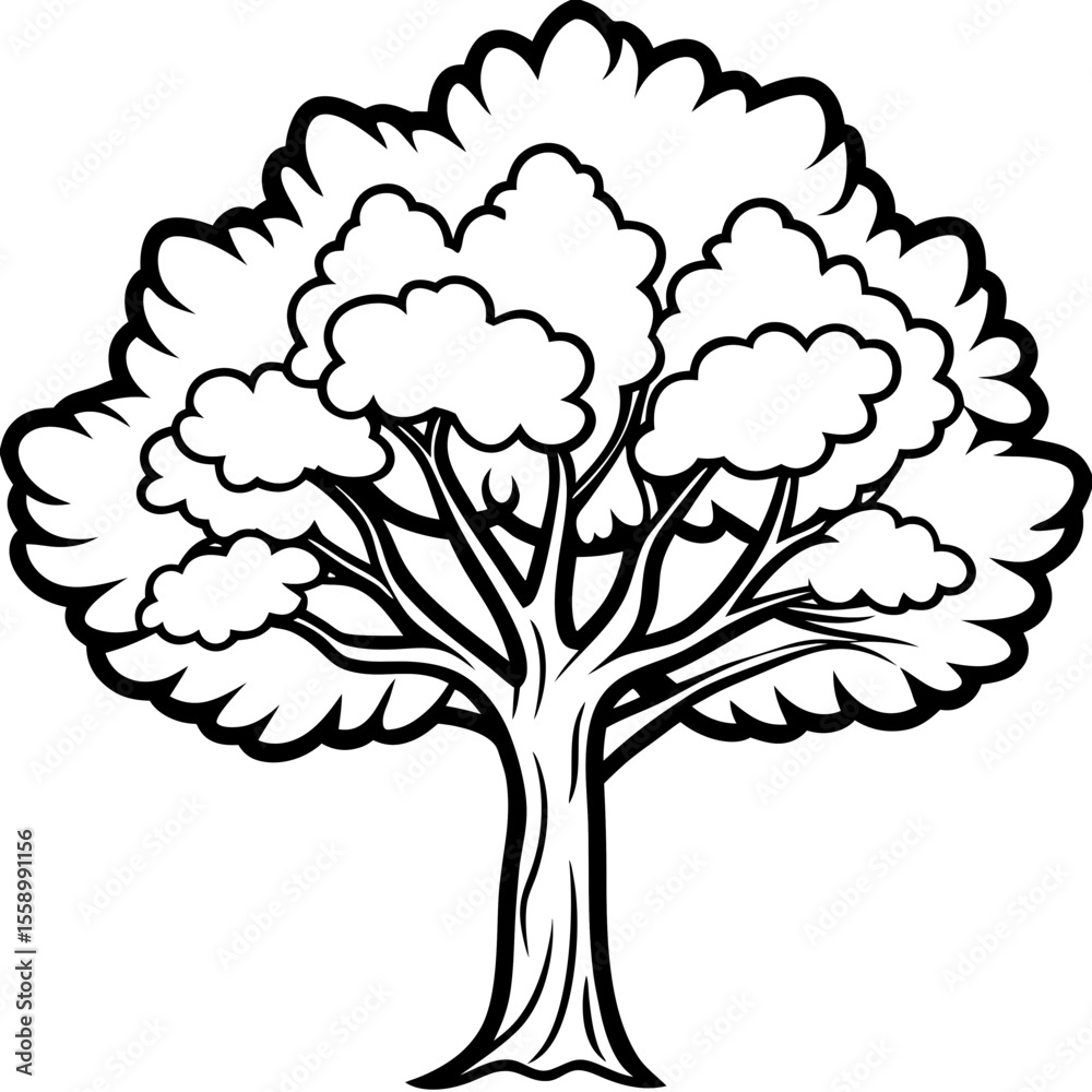 Fototapeta premium Camphor Tree line art vector