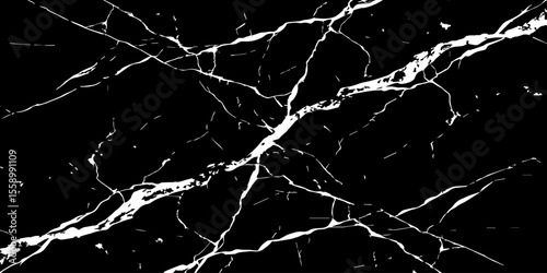 A stark, high-contrast image featuring intricate white veins sprawling across a deep, inky black background, mimicking the natural patterns found in marble or fractured glass.