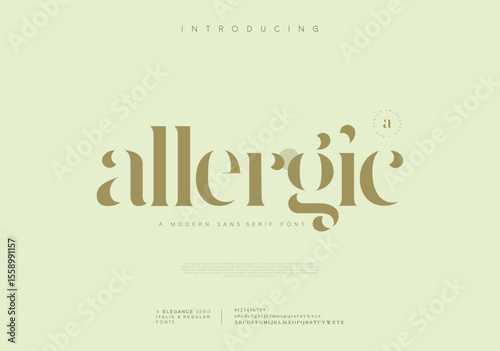 Classic alphabet letters classic font classic modern serif lettering minimal fashion designs fonts for logo brand