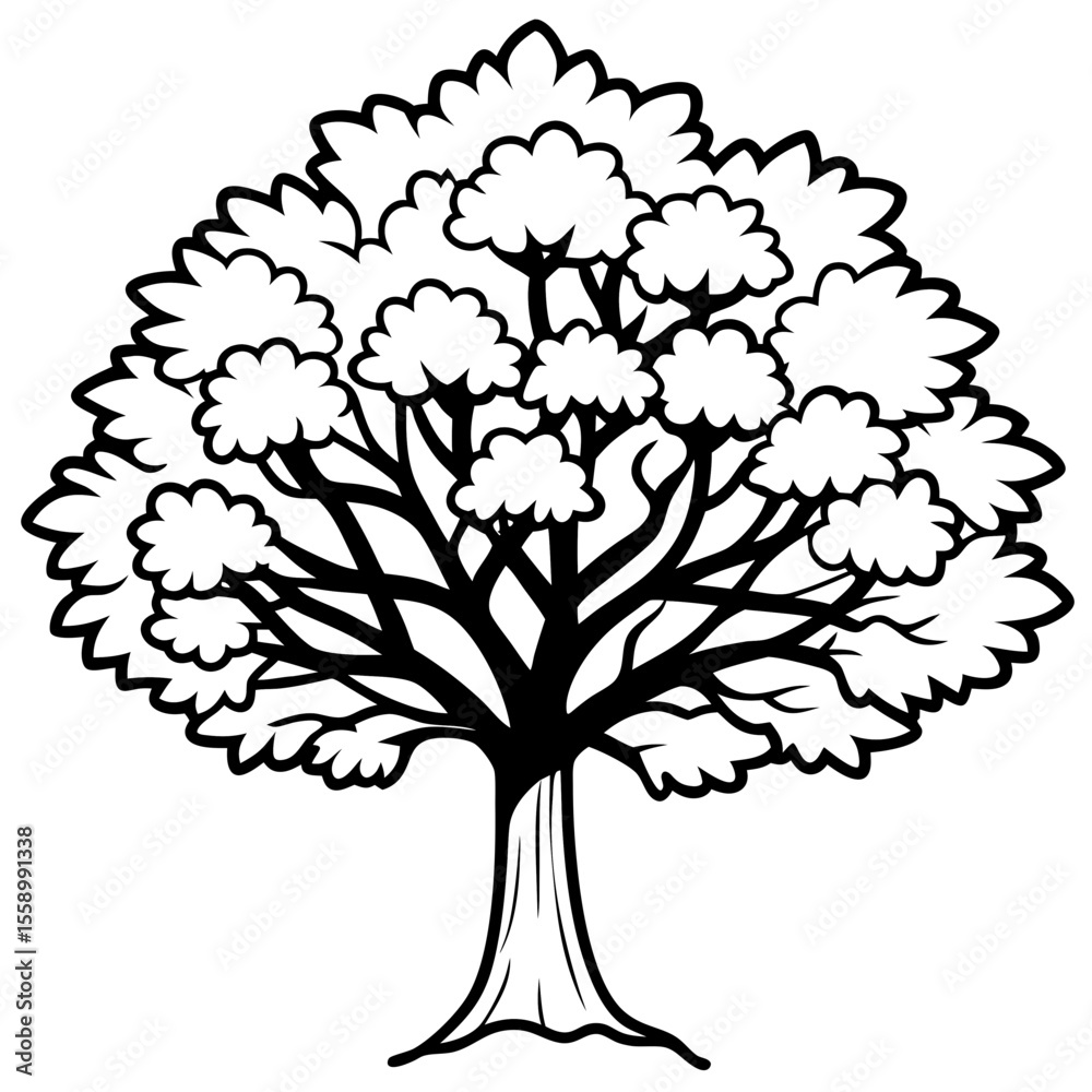 Obraz premium Camphor Tree line art vector