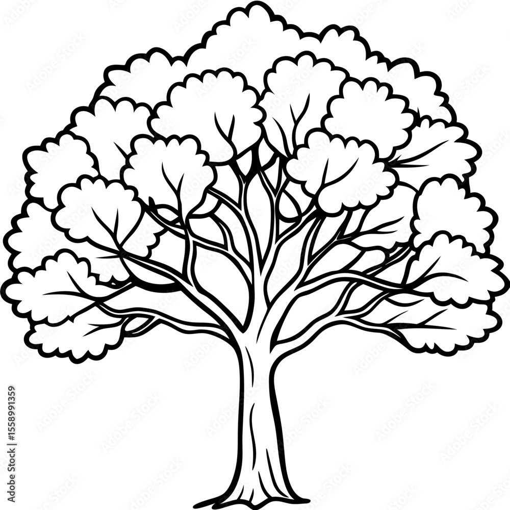 Obraz premium Camphor Tree line art vector