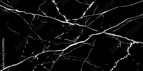 A stark, high-contrast image featuring intricate white veins sprawling across a deep, inky black background, mimicking the natural patterns found in marble or fractured glass.