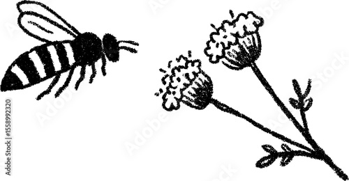 Charming bee and blossom sketch with bold black accents for nature-inspired design