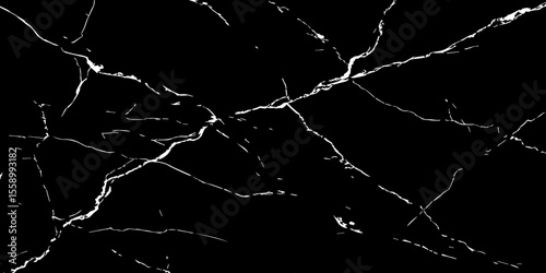A stark, high-contrast image featuring intricate white veins sprawling across a deep, inky black background, mimicking the natural patterns found in marble or fractured glass.