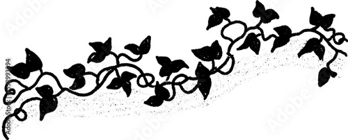 Decorative sketch of climbing vines and curling borders for design projects