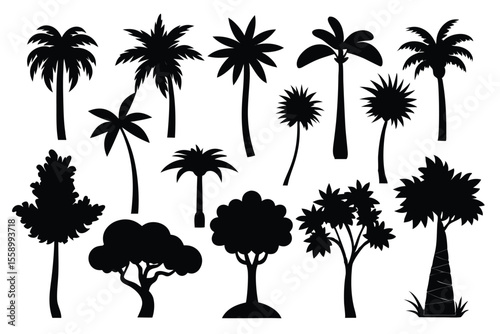 Collection of black silhouettes various tropical and other trees