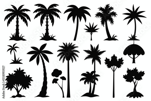 Collection of tropical palm trees and silhouettes