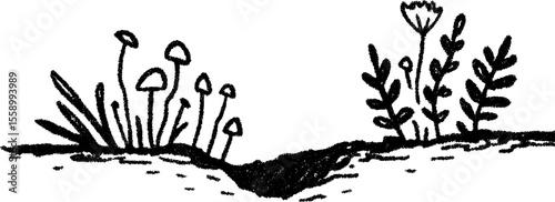 Nature-inspired border with small mushrooms and ferns sketch for botanical design