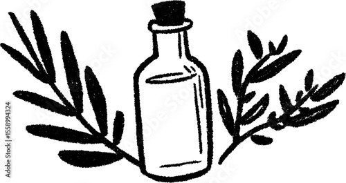Olive oil bottle with sprigs sketch for culinary design