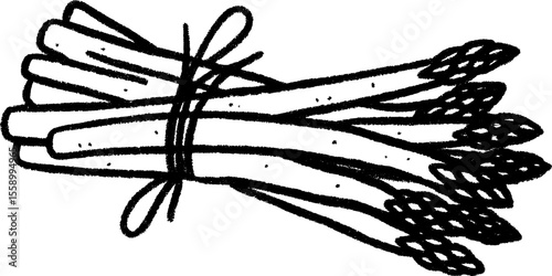 Hand-drawn sketch of asparagus bundle with string for creative design