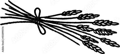 Hand drawn bundle of wheat sketch with central tie for rustic design