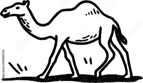 Camel sketch with long legs and hump - artistic animal drawing for design