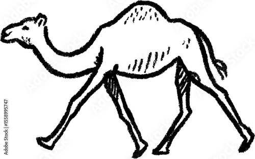 Sketch of a walking camel with long legs and hump for design and artwork
