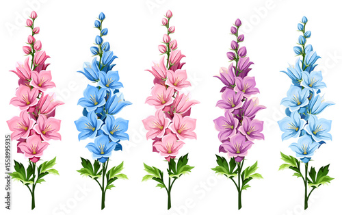 Pink, blue, and purple delphinium (larkspur) flowers isolated on a white background. Set of vector illustrations
