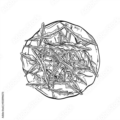 Fresh arugula leaves piled on flatbread, tortilla or pita monochrome vector illustration. Pizza base with salad leaf heap etching drawing. For food packaging, menu, healthy eating blogs