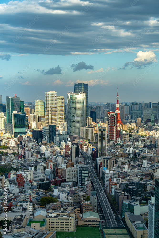 Fototapeta premium Tokyo's Cityscapes from the Clouds