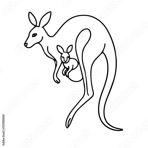 KANGEROO` 1