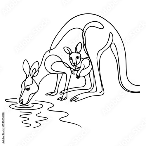 KANGEROO` 2