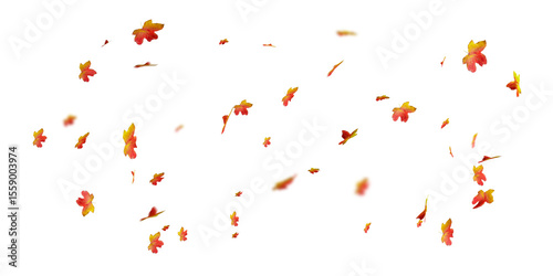 Falling autumn leaves on white