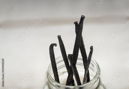 Close up studio photo of vanilla pods in glass jar in granulated sugar