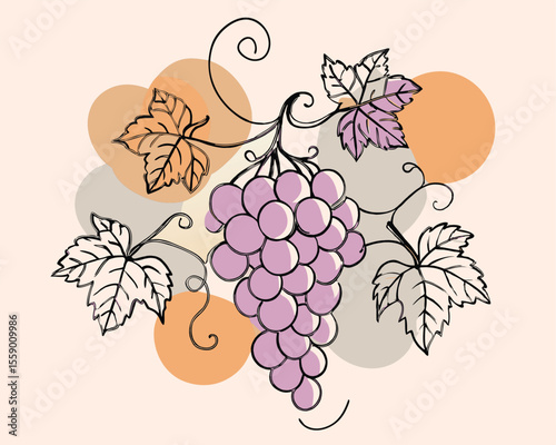 vector illustration of grapes with leaves.