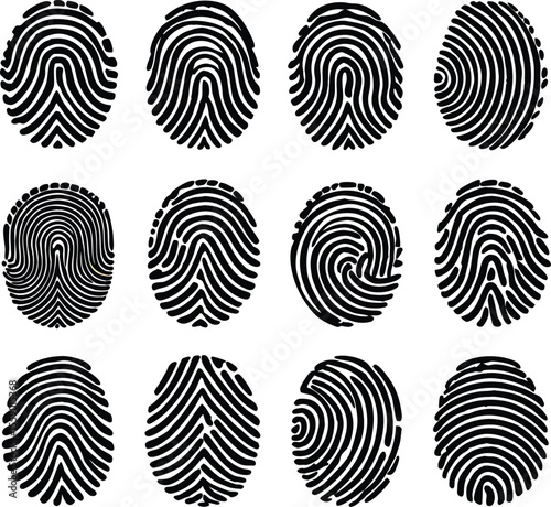 Collection of Fingerprint Patterns for Forensic and Security Applications.