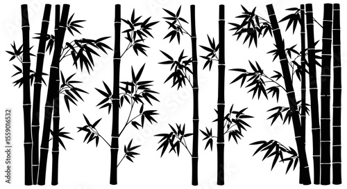 Set of bamboo silhouette on white background