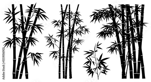 Set of bamboo silhouette on white background