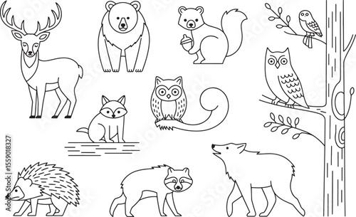 Line Art Set of Wild Forest Animals Deer Bear Raccoon Owl Squirrel Wolf Hedgehog Black and White Simple Design
