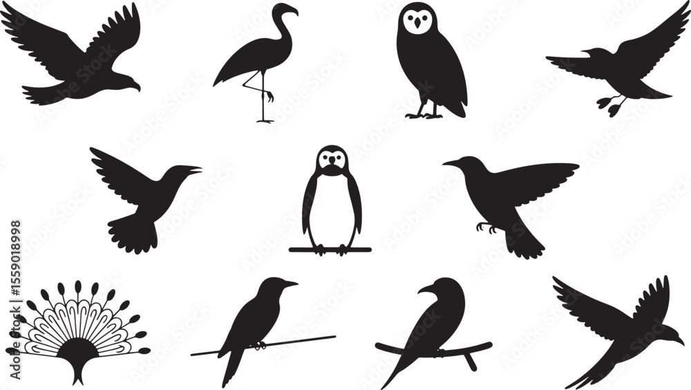 Obraz premium Ten Black Bird Silhouettes Icon Set Eagle Flamingo Owl Penguin Various Birds Flight Perch vector