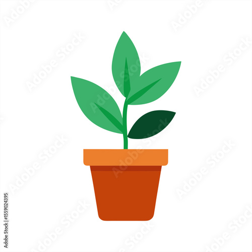 Flat style indoor plant in pot vector on transparent background for web and graphic design