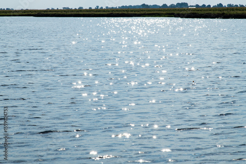 Fototapeta Naklejka Na Ścianę i Meble -  glittering lake with grassland in Chobe National Park