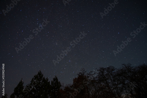 埼玉県秩父市の冬の夜、澄んだ空に広がる星空と山の稜線、木々のシルエットが織りなす静寂で幻想的な風景。自然や天体観測、癒しのイメージに最適な冬の夜空の写真素材です。