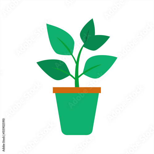 Green indoor plant drawing in pot on transparent background for web and graphic design