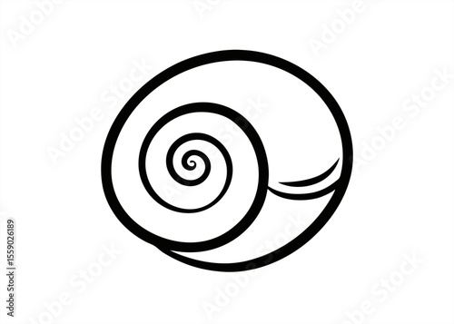 Hand drawn spiral shell illustration on transparent background for web and graphic design