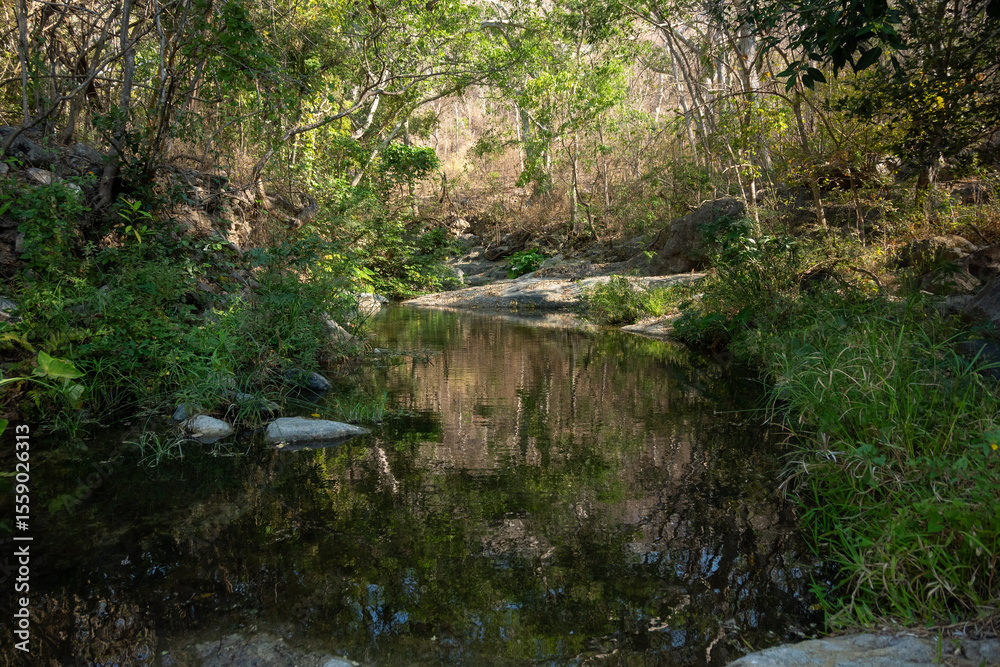 Naklejka premium tanque del general