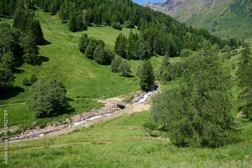case di viso
