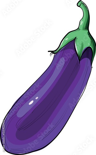 Whole eggplant with green stem hand drawn vector