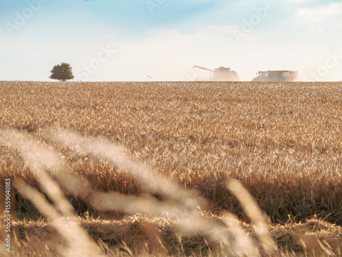 Harvester on the horizon