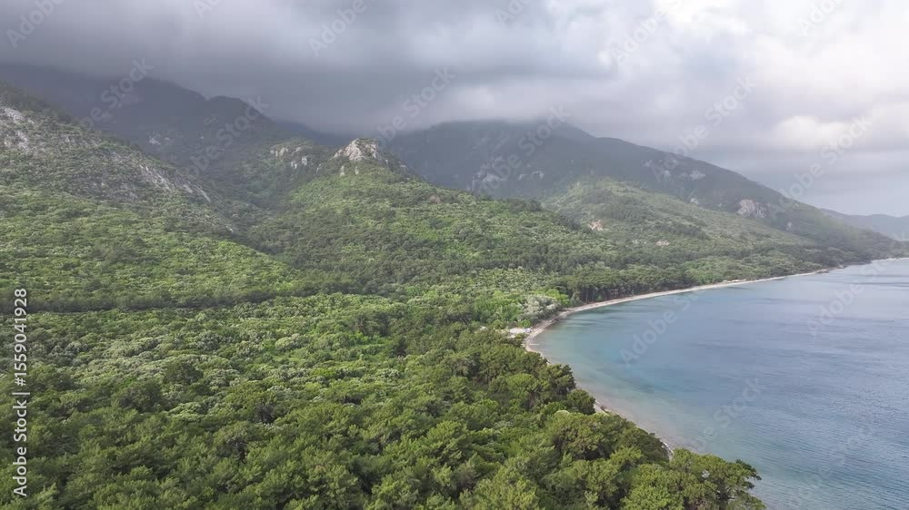 An aerial view showing the lush green landscape of Kusadasi, with its coastline and blue waters visible in the distance.
An aerial view showing the lush green landscape of Kusadasi, with its coastline and blue waters visible in the distance.