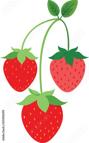 Three ripe red strawberries with green leaves and stems isolated on transparent background silhouette