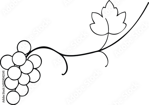Stylized grape vine with leaf and cluster silhouette isolated on transparent background