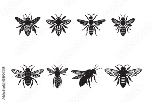 Collection of detailed black silhouette illustrations of various bees
