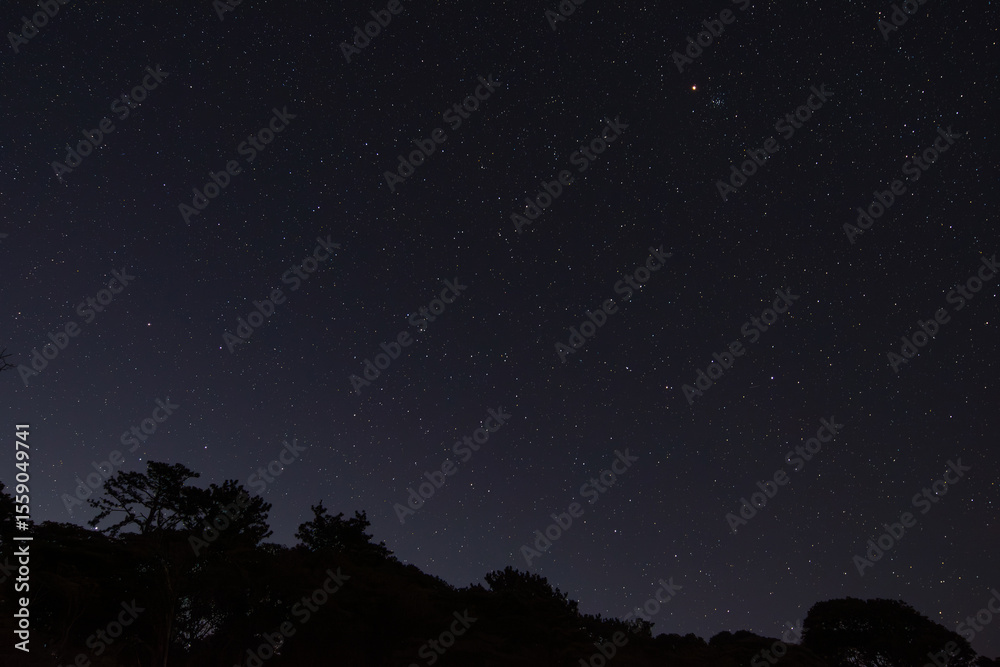 Fototapeta premium 神奈川県真鶴町の森で冬に撮影した星空。澄み切った夜空にオリオン座や無数の星が輝き、森や木々のシルエットが浮かび上がる静寂な風景。自然の美しさや癒しを感じる夜の空は、アウトドア・旅行・観光・ヒーリング・リラクゼーションなど多様なシーンに最適な素材です。