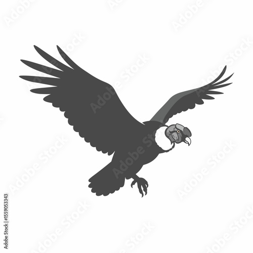 Independence Day in Peru illustrated with Andean condor soaring in flight. Independence Day in Peru celebrated with majestic bird, which symbolizes freedom.