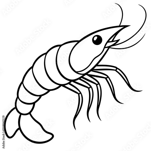 Shrimp Silhouette Design