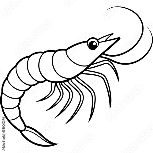 Shrimp Silhouette Design